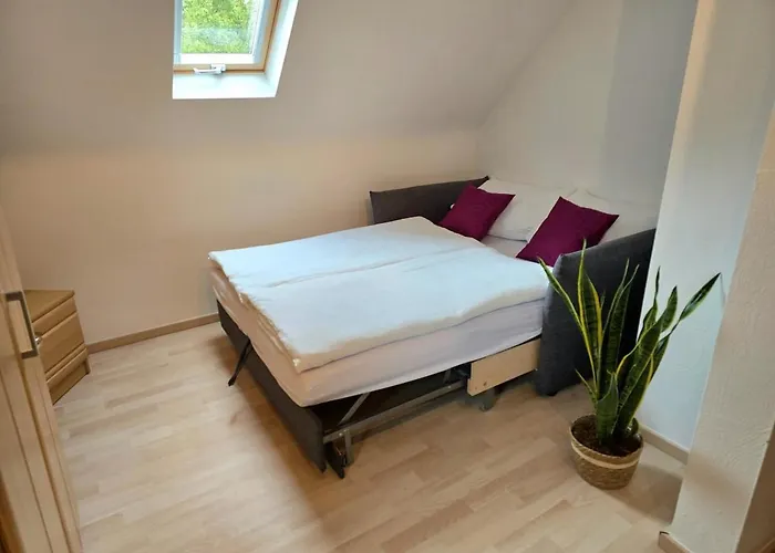 Ferienhaeuschen In Apartamento Dickesbach